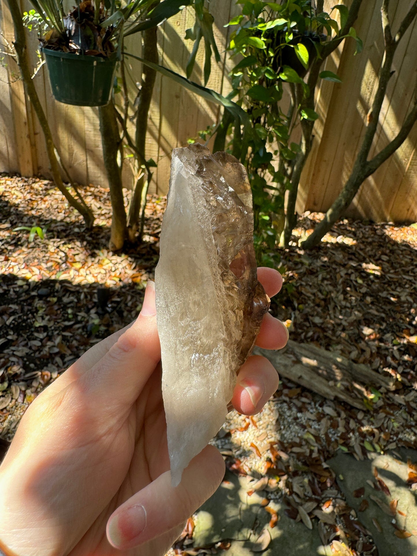 Smokey Elesital Quartz Specimen from Minas Gerais Brazil, 238g Mineral Crystal