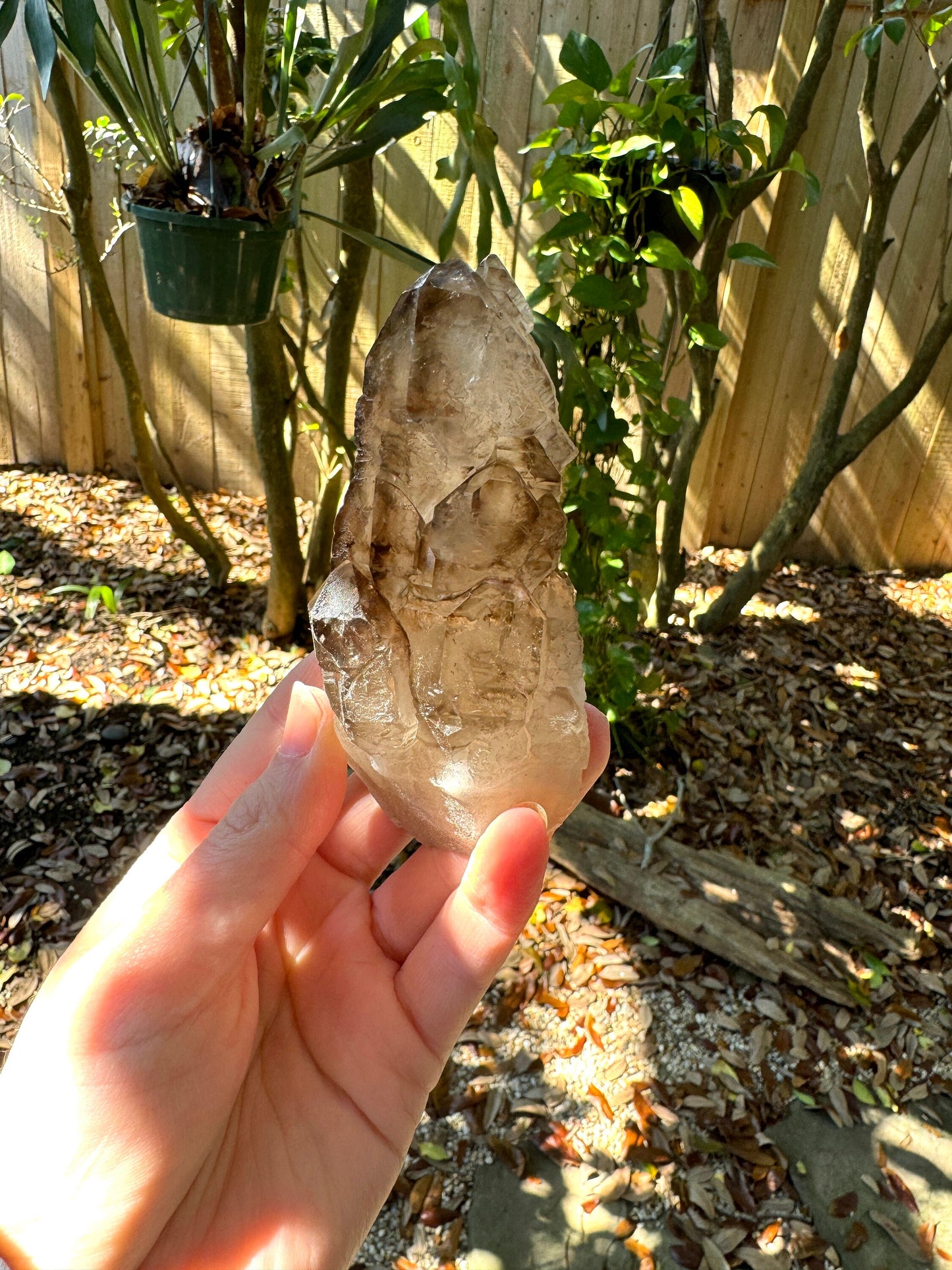 Smokey Elesital Quartz Specimen from Minas Gerais Brazil, 238g Mineral Crystal