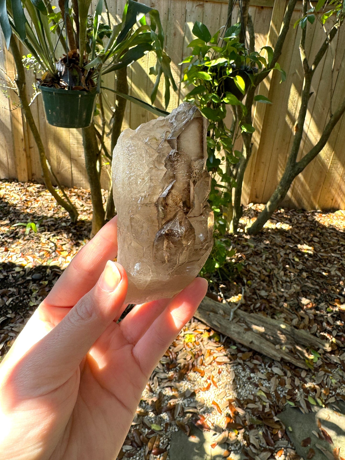 Smokey Elesital Quartz Specimen from Minas Gerais Brazil, 238g Mineral Crystal