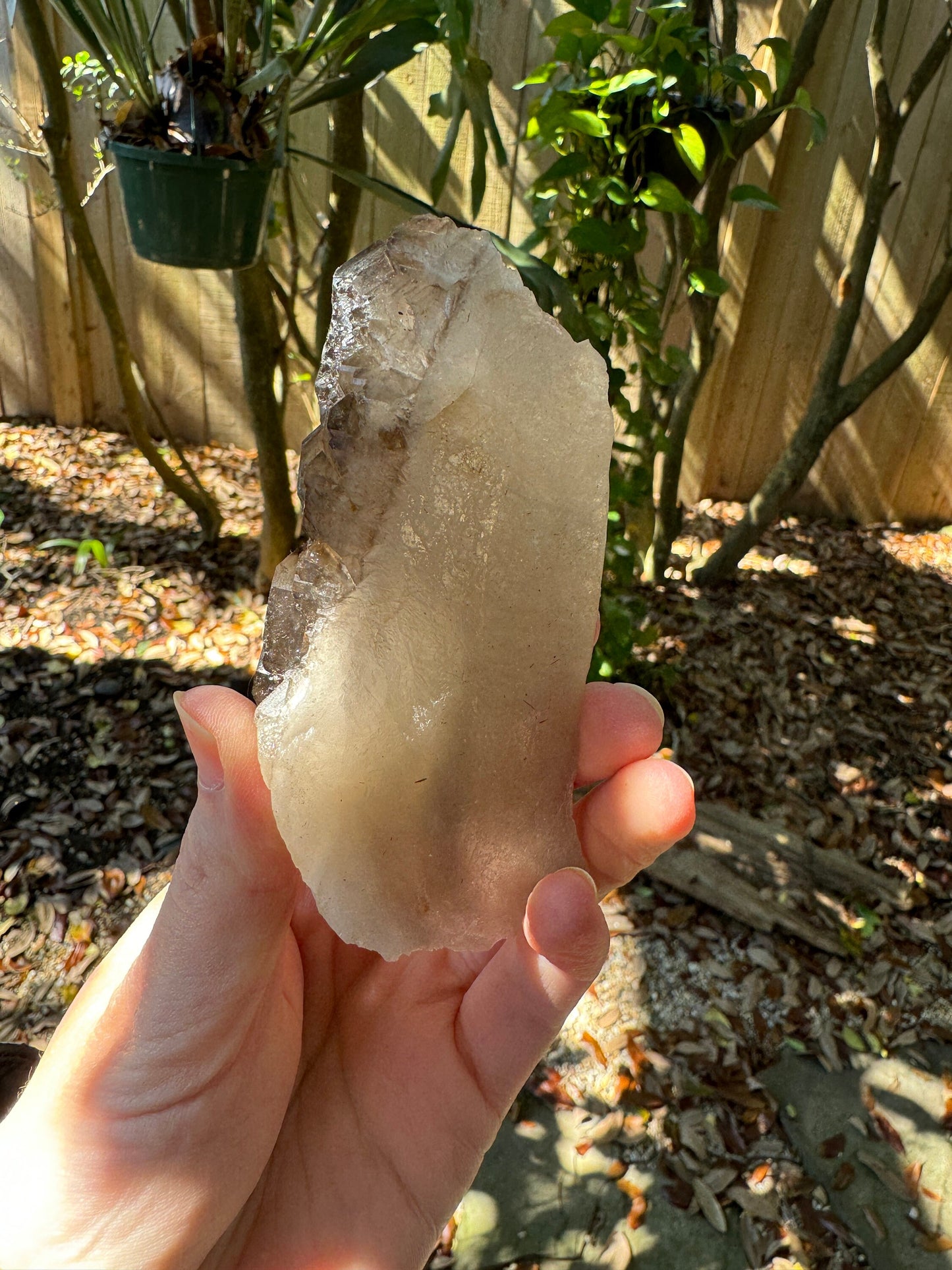 Smokey Elesital Quartz Specimen from Minas Gerais Brazil, 238g Mineral Crystal