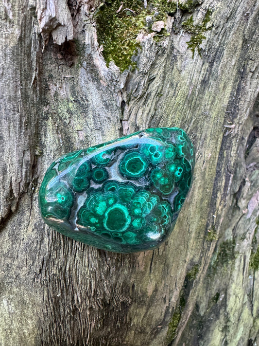 Lovely Polished Malachite Specimen from The Congo 142.3g Mineral Crystal