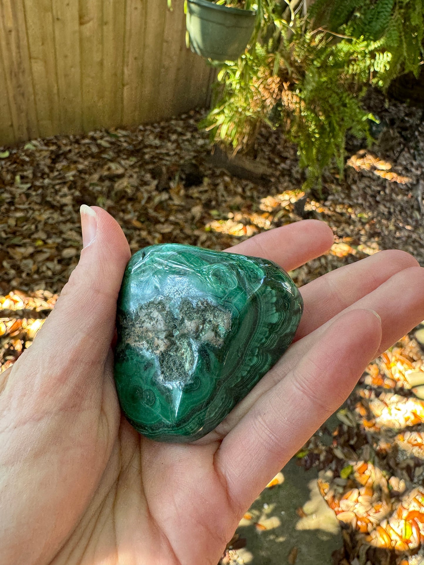 Lovely Polished Malachite Specimen from The Congo 142.3g Mineral Crystal