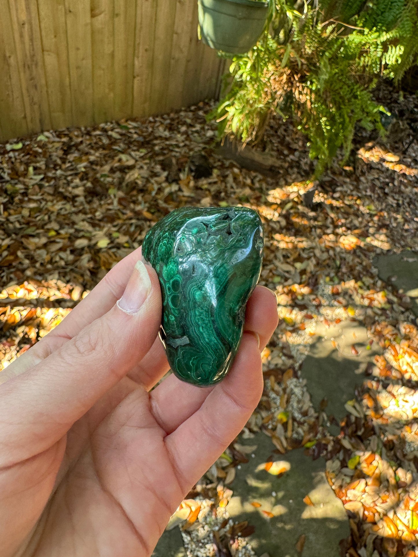 Lovely Polished Malachite Specimen from The Congo 142.3g Mineral Crystal