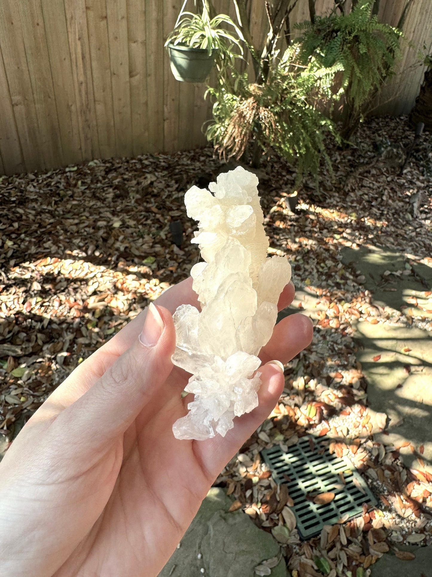 Aragonite Cave Calcite From Mexico 107.3g Specimen Crystals Minerals