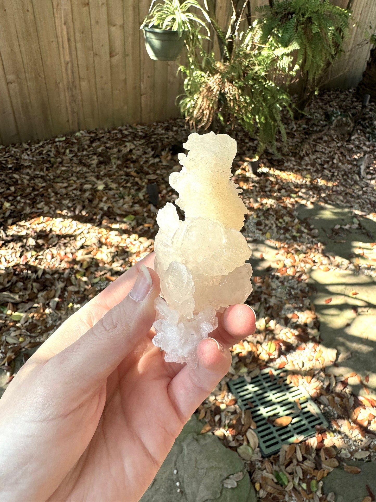 Aragonite Cave Calcite From Mexico 107.3g Specimen Crystals Minerals