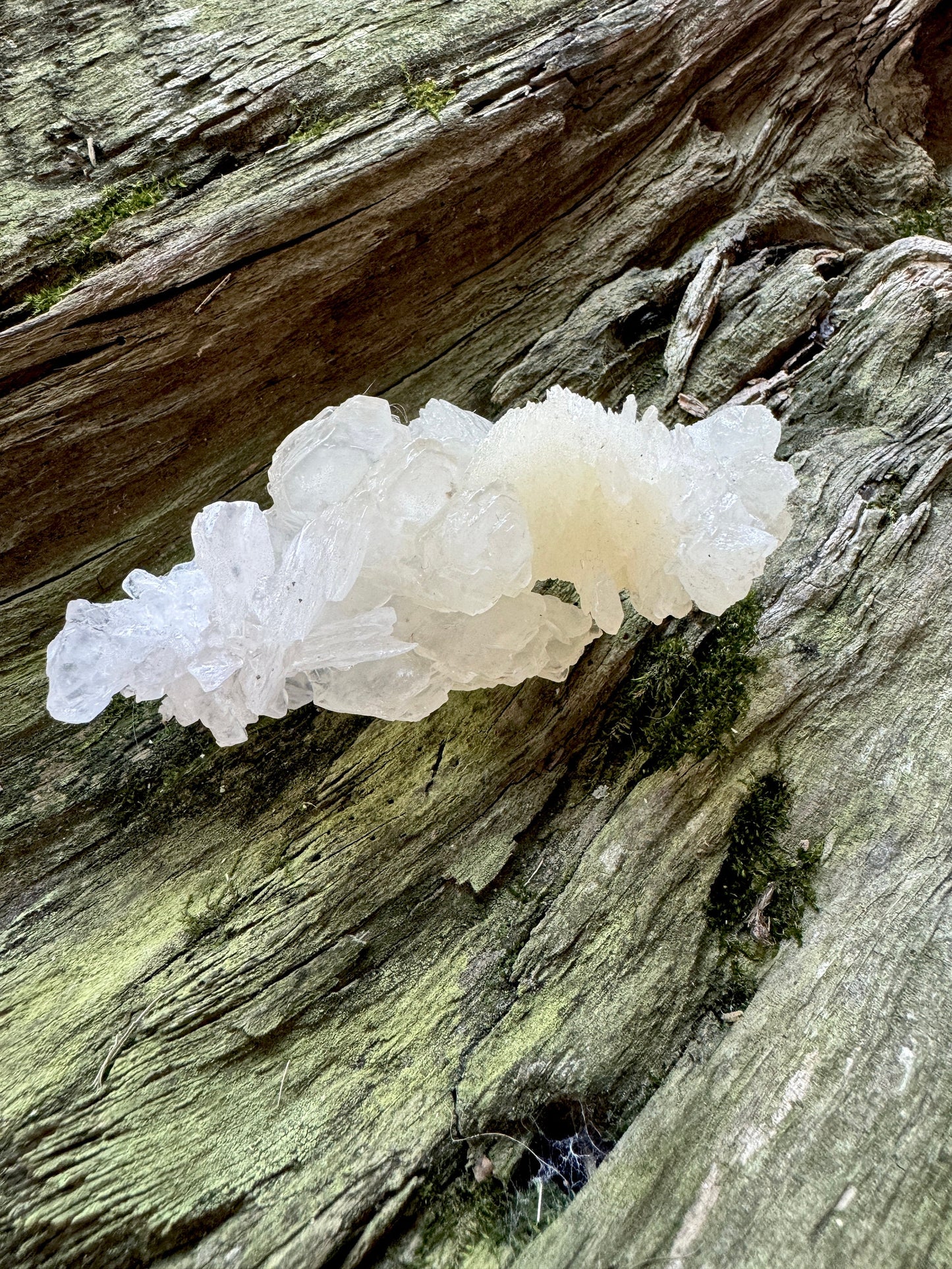 Aragonite Cave Calcite From Mexico 107.3g Specimen Crystals Minerals