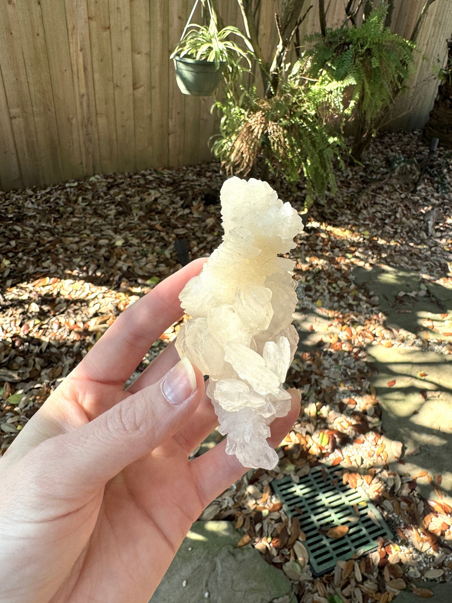 Aragonite Cave Calcite From Mexico 107.3g Specimen Crystals Minerals