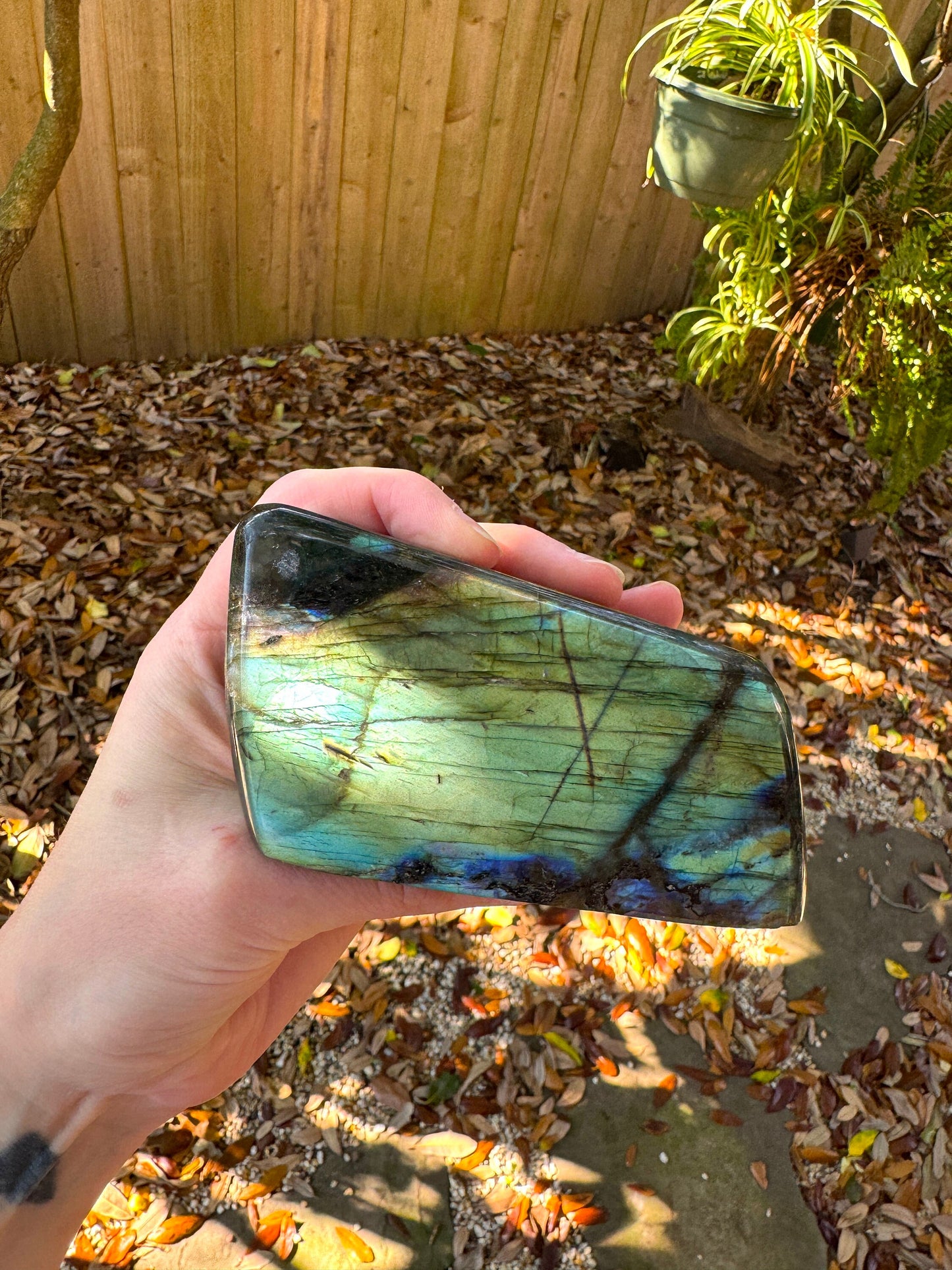 Polished Rainbow Labradorite Free Form 418g From Madagascar Mineral Crystal