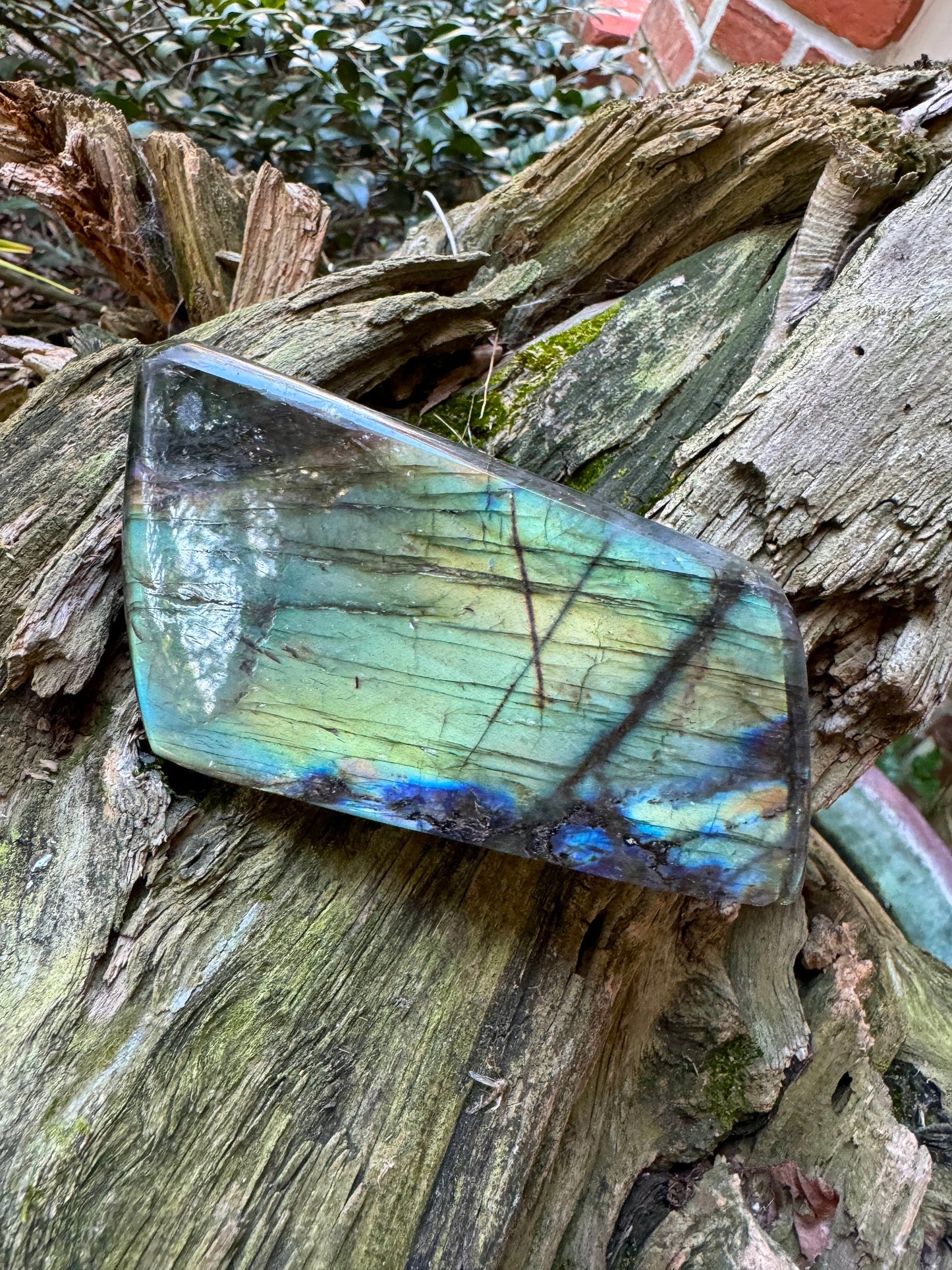 Polished Rainbow Labradorite Free Form 418g From Madagascar Mineral Crystal