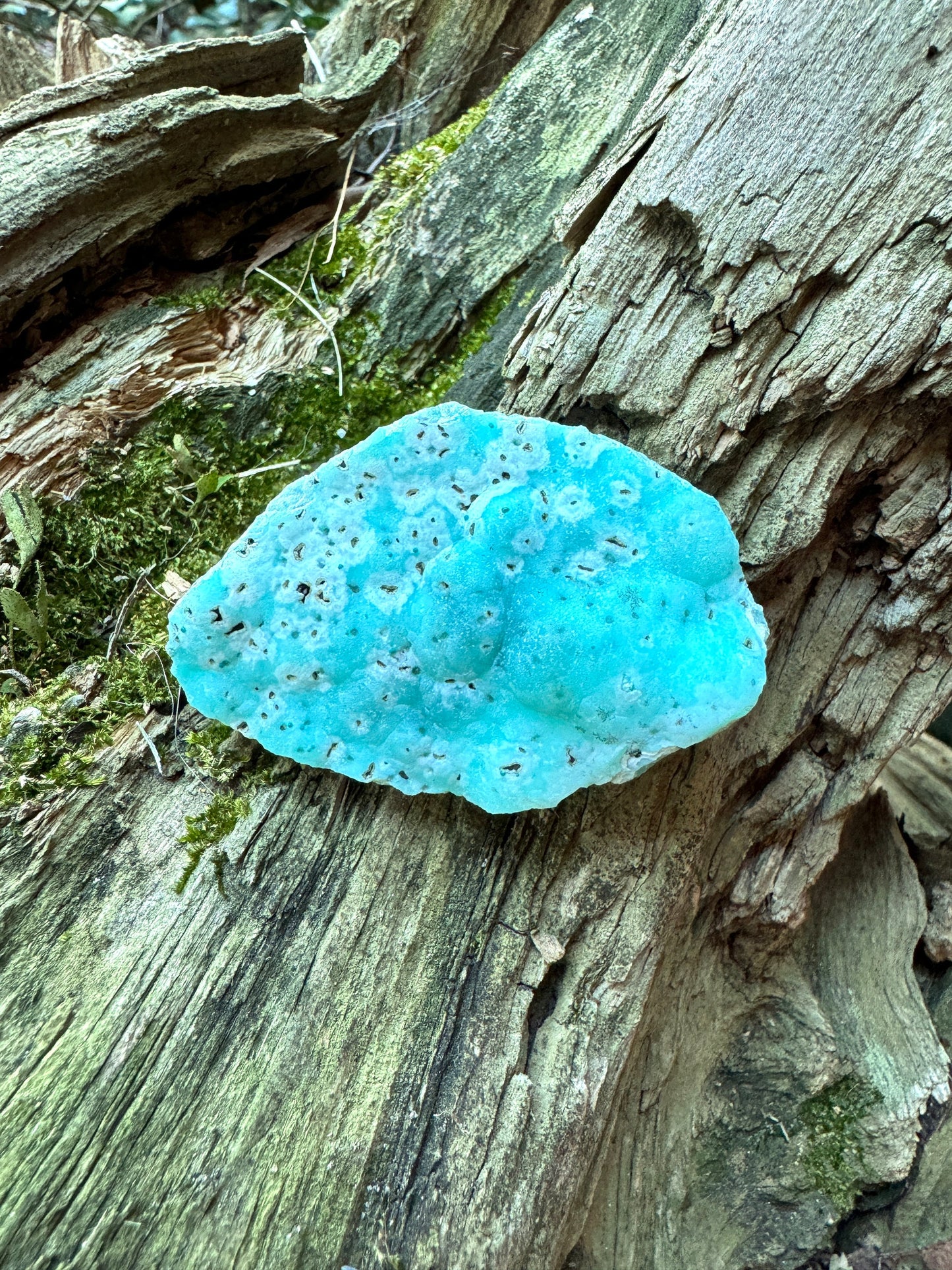 Vivid Blue Smithsonite Specimen 85.8g from Yanga Koubenza Quarries M'fouati District Republic of Congo Mineral Crystal