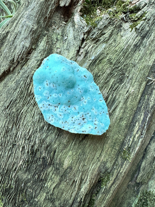 Vivid Blue Smithsonite Specimen 85.8g from Yanga Koubenza Quarries M'fouati District Republic of Congo Mineral Crystal