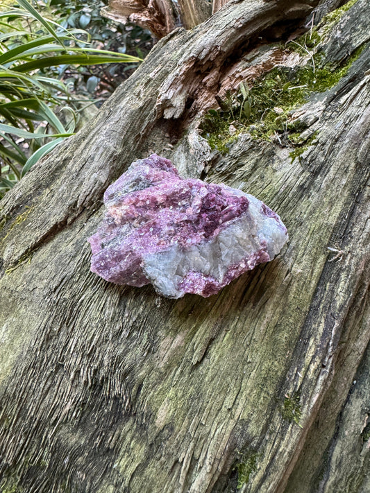 Beautiful Pink Lepidolite with Blue Clevlandite and Quartz  Specimen From Minas Gerais Brazil  98.4g Mineral Crystal