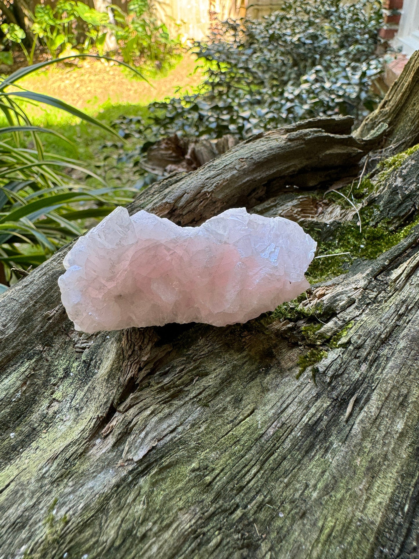 Mangano Calcite Specimen from Androvo Mine, Erma Reka, Zlatograd, Smolyan Province, Bulgaria 72.3g Mineral Crystal