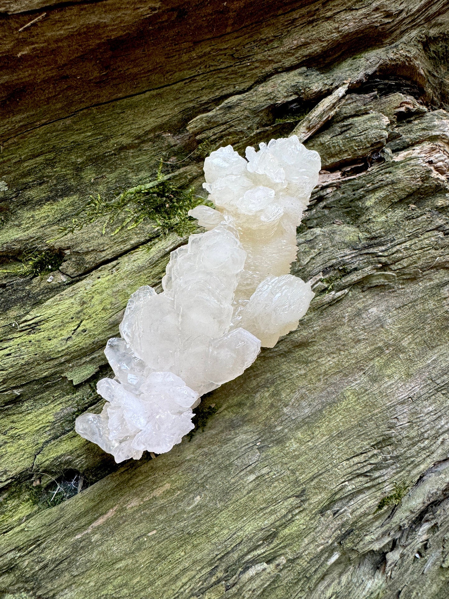 Aragonite Cave Calcite From Mexico 107.3g Specimen Crystals Minerals