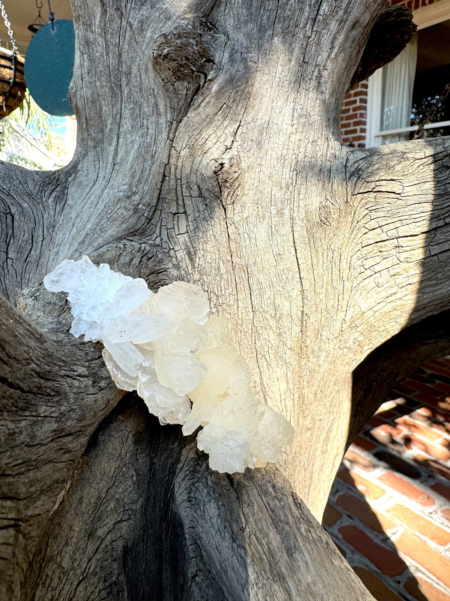 Aragonite Cave Calcite From Mexico 107.3g Specimen Crystals Minerals