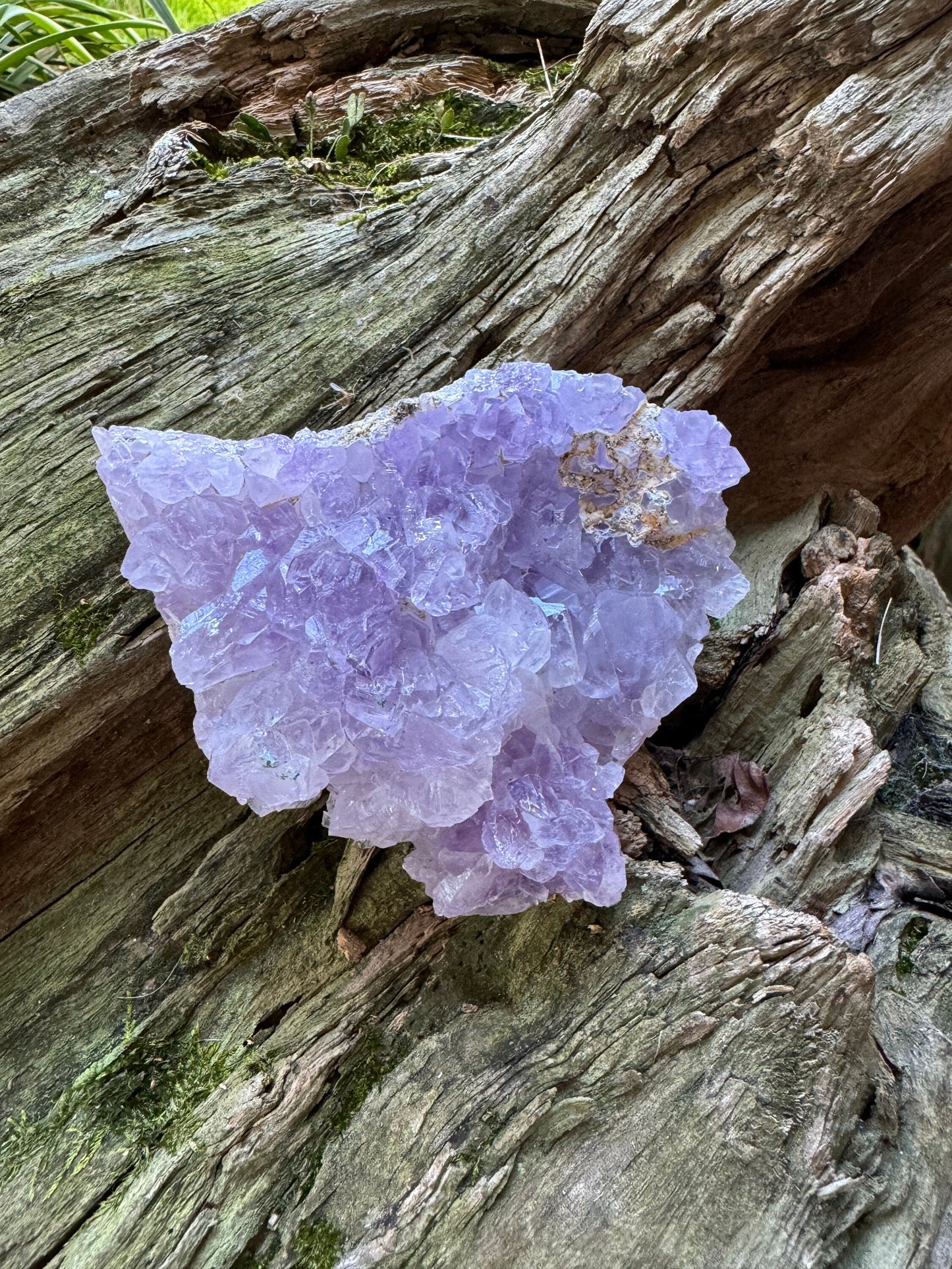 Partial Amethyst Flower 278g Specimen From Rio Grande Do Sol, Brazil