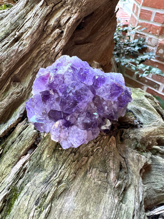 Avalon Amethyst From Newfoundland, Canada 289.7g Specimen From La Manche Mine on the Avalon Peninsula