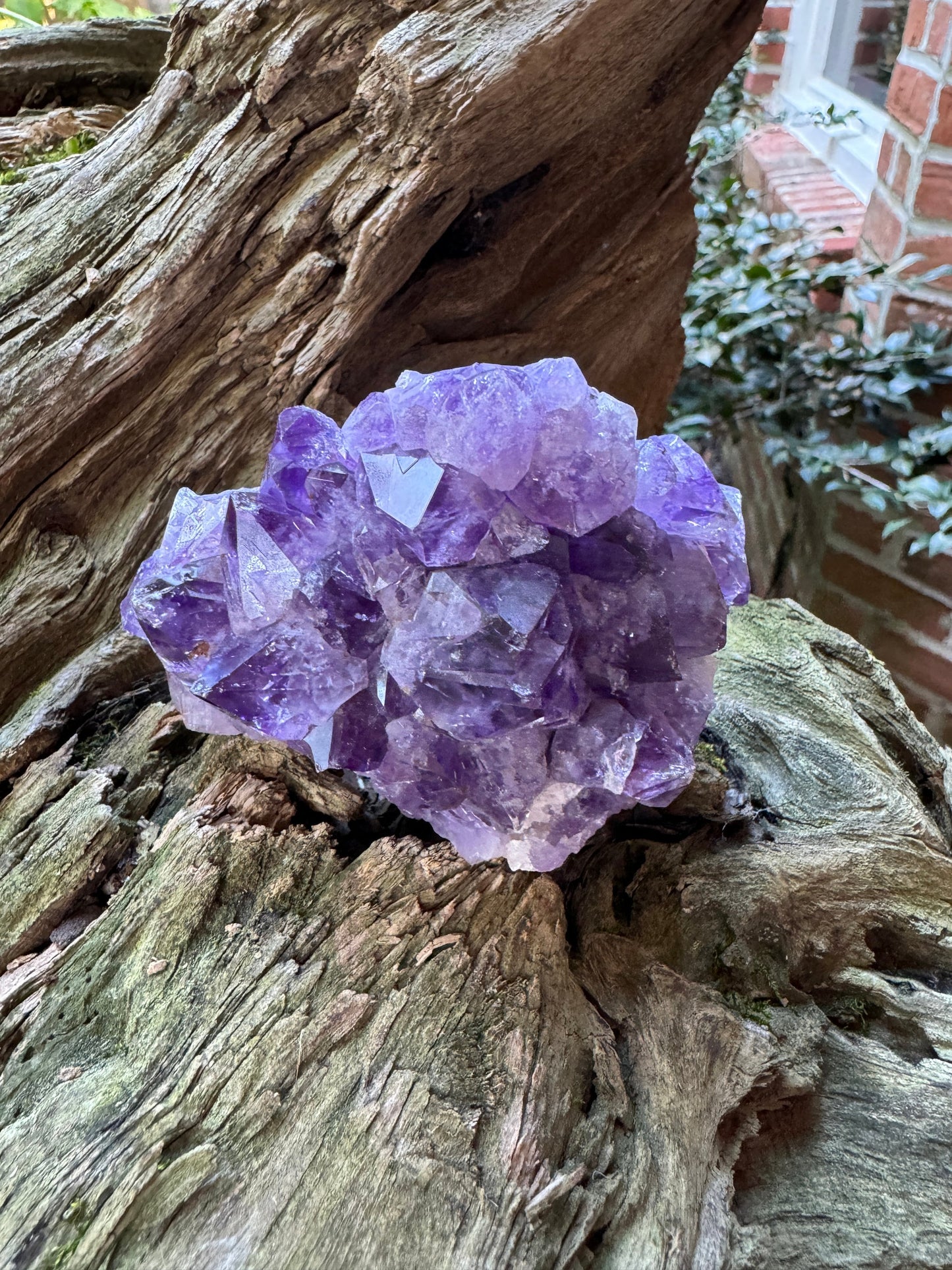 Avalon Amethyst From Newfoundland, Canada 289.7g Specimen From La Manche Mine on the Avalon Peninsula