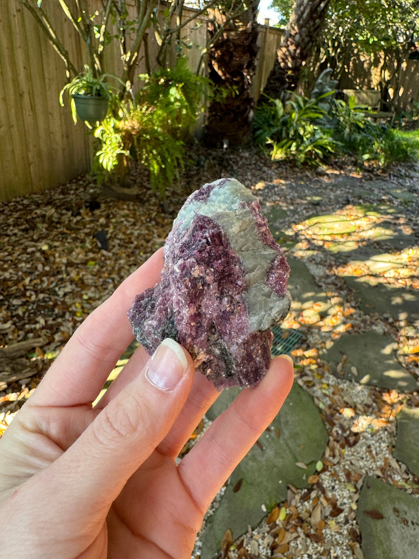 Beautiful Pink Lepidolite with Blue Clevlandite and Quartz  Specimen From Minas Gerais Brazil  98.4g Mineral Crystal