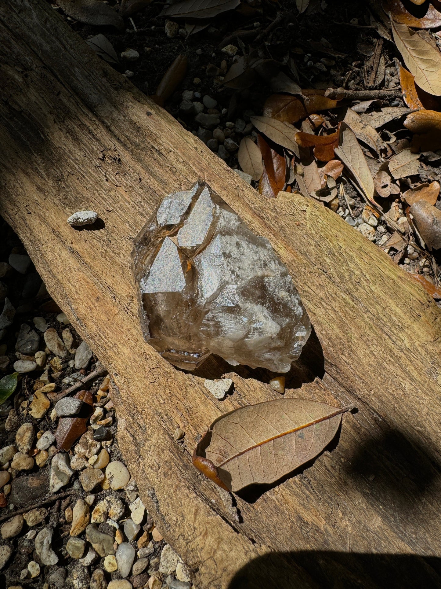 Smokey Elesital/ Skeletal Quartz Specimen 198.7g from Minas Gerais, Brazil