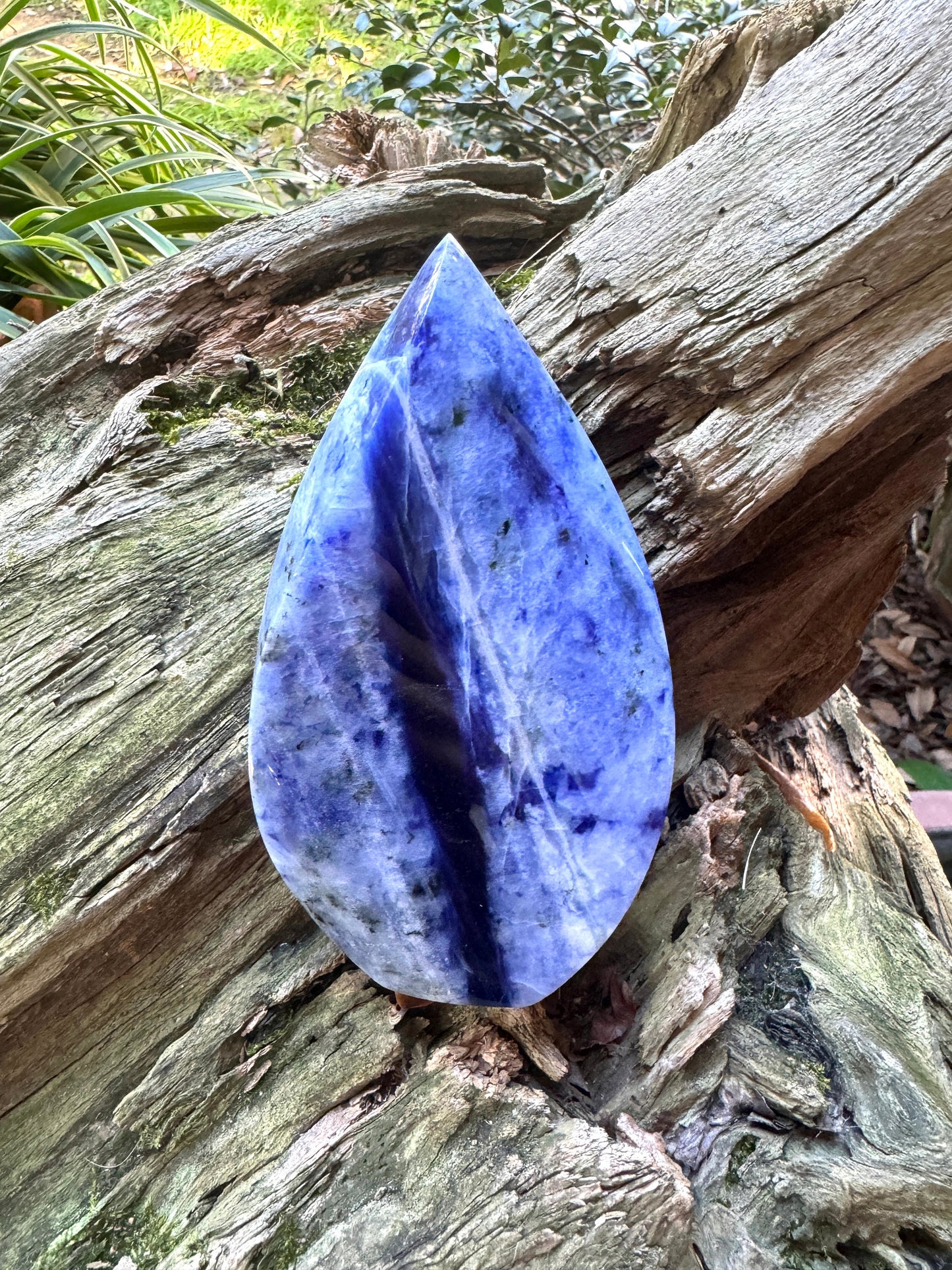 Polished Blue Dumortierite/Aventurine in Quartz Teardrop 664g 1lb 7.4oz From Brazil Mineral Crystal