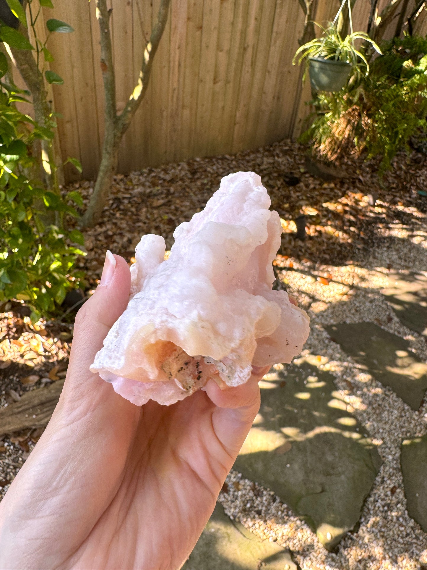 Rare Beautiful Botryoidal Natural Pink Opal from Ica, Peru Specimen 476g Mineral Crystal