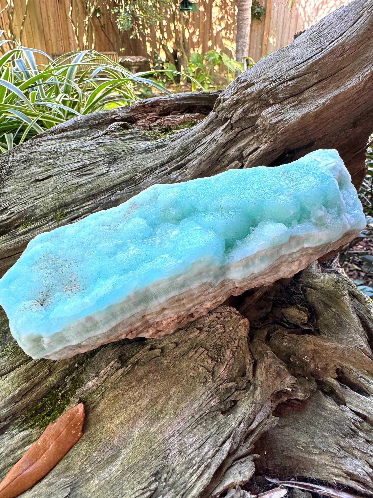 Raw Blue Caribbean Calcite from Pakistan 1520g 3lbs 5.6oz Specimen Mineral Crystal