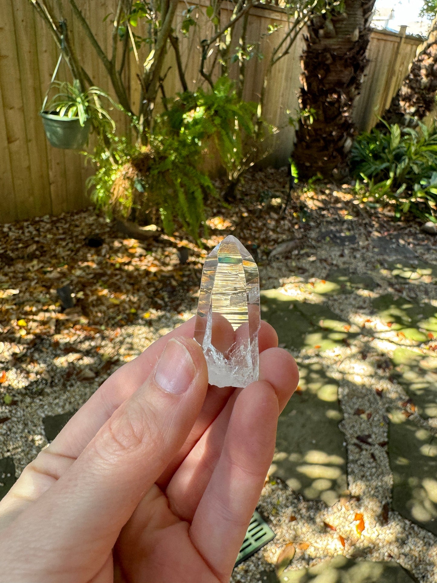 Stunning Columbian Lemurian Optical Quartz Point 31.4g Specimen