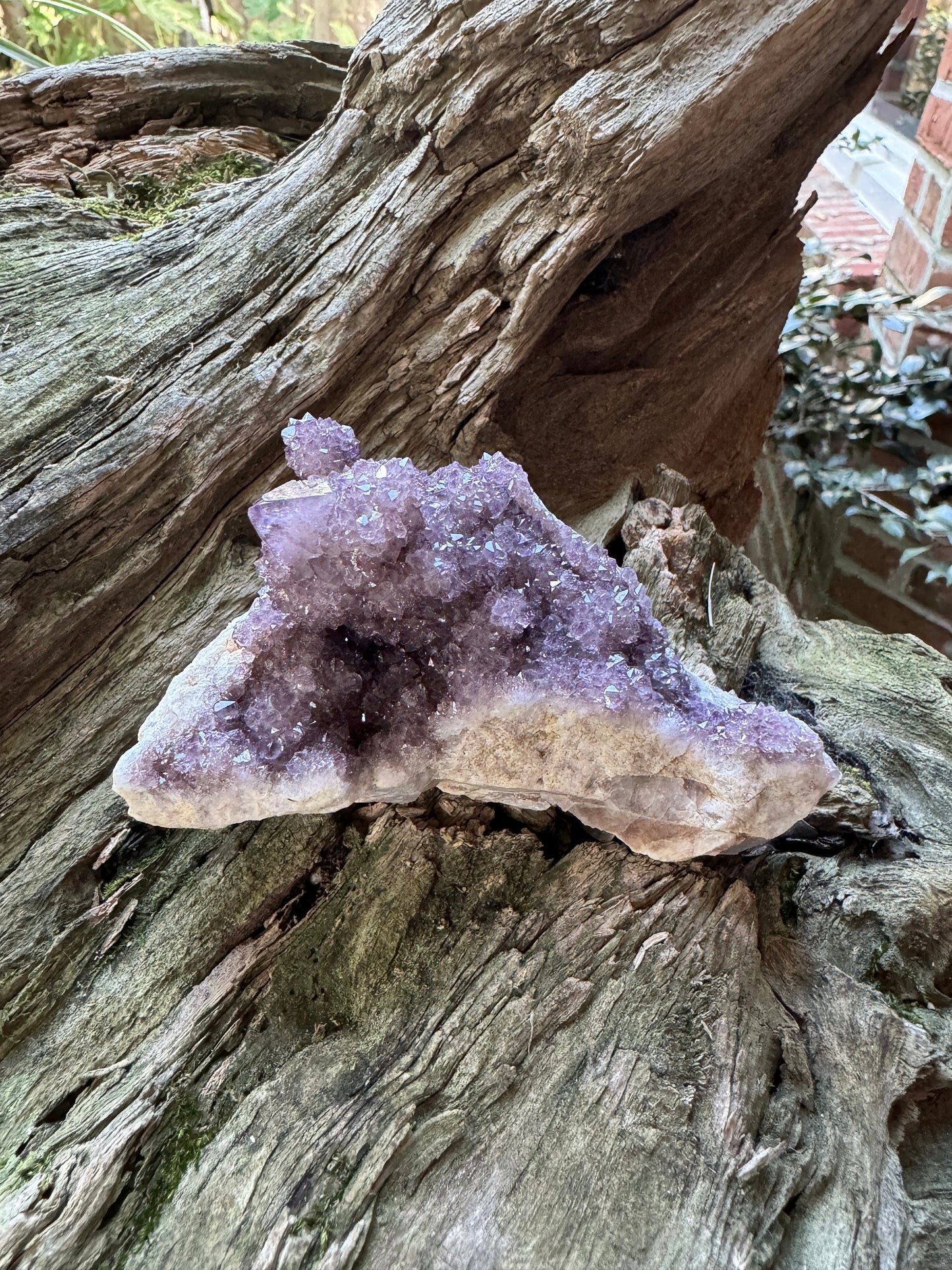 Amethyst Spirit Quartz Point cluster With Iron Specimen 263.5g From Mpumalanga South Africa