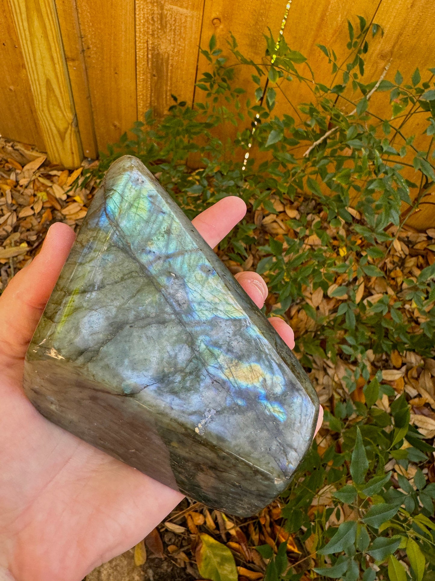 Polished Rainbow Labradorite Free Form 820g From Madagascar Mineral Crystal