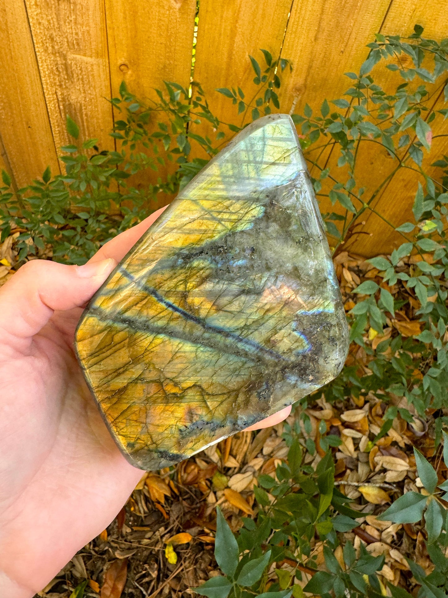 Polished Rainbow Labradorite Free Form 820g From Madagascar Mineral Crystal