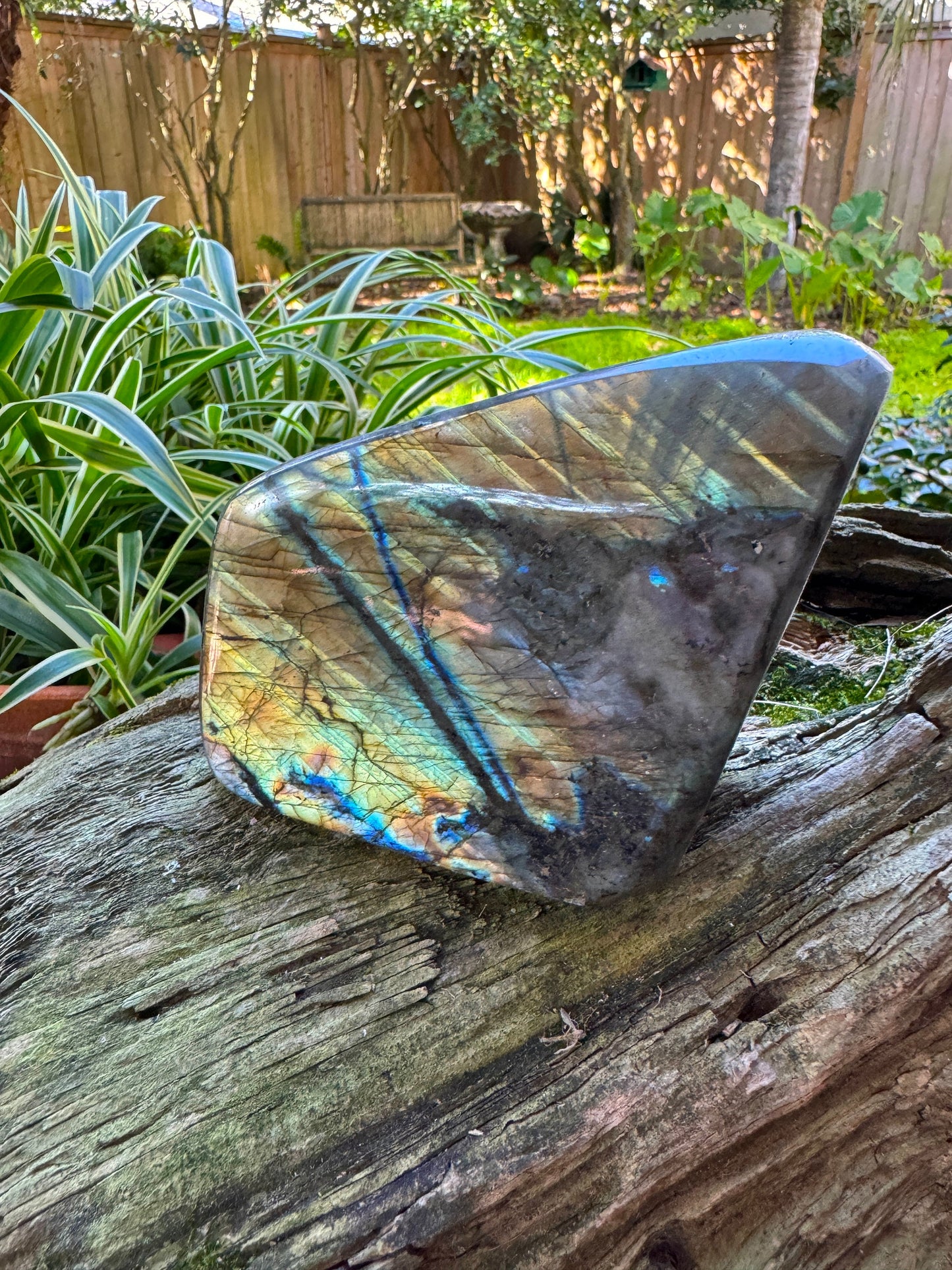 Polished Rainbow Labradorite Free Form 820g From Madagascar Mineral Crystal