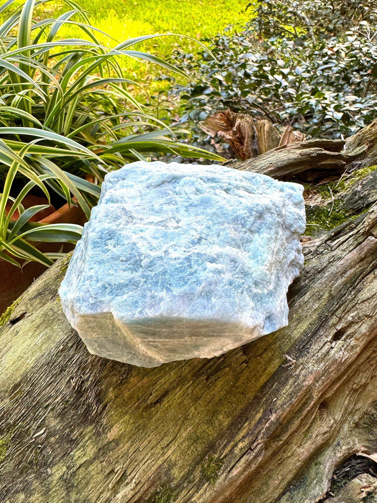 Aquamarine/Beryl Crystal from Minas Gerais Brazil 980g 2lbs 2.6oz Specimen Mineral Crystal