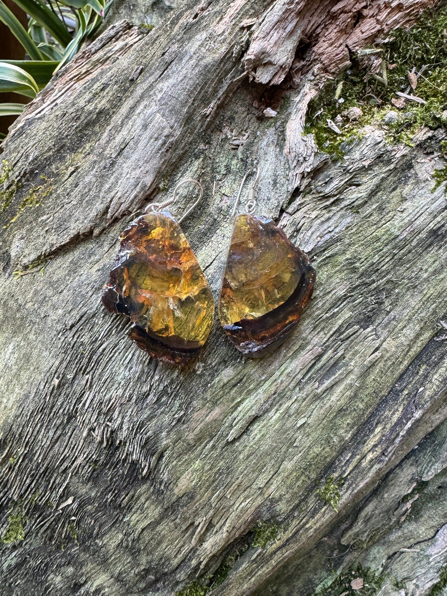 Polished  Mexican Blue Amber Earrings With Sterling Silver from Ciapas Mexico 1.6" long