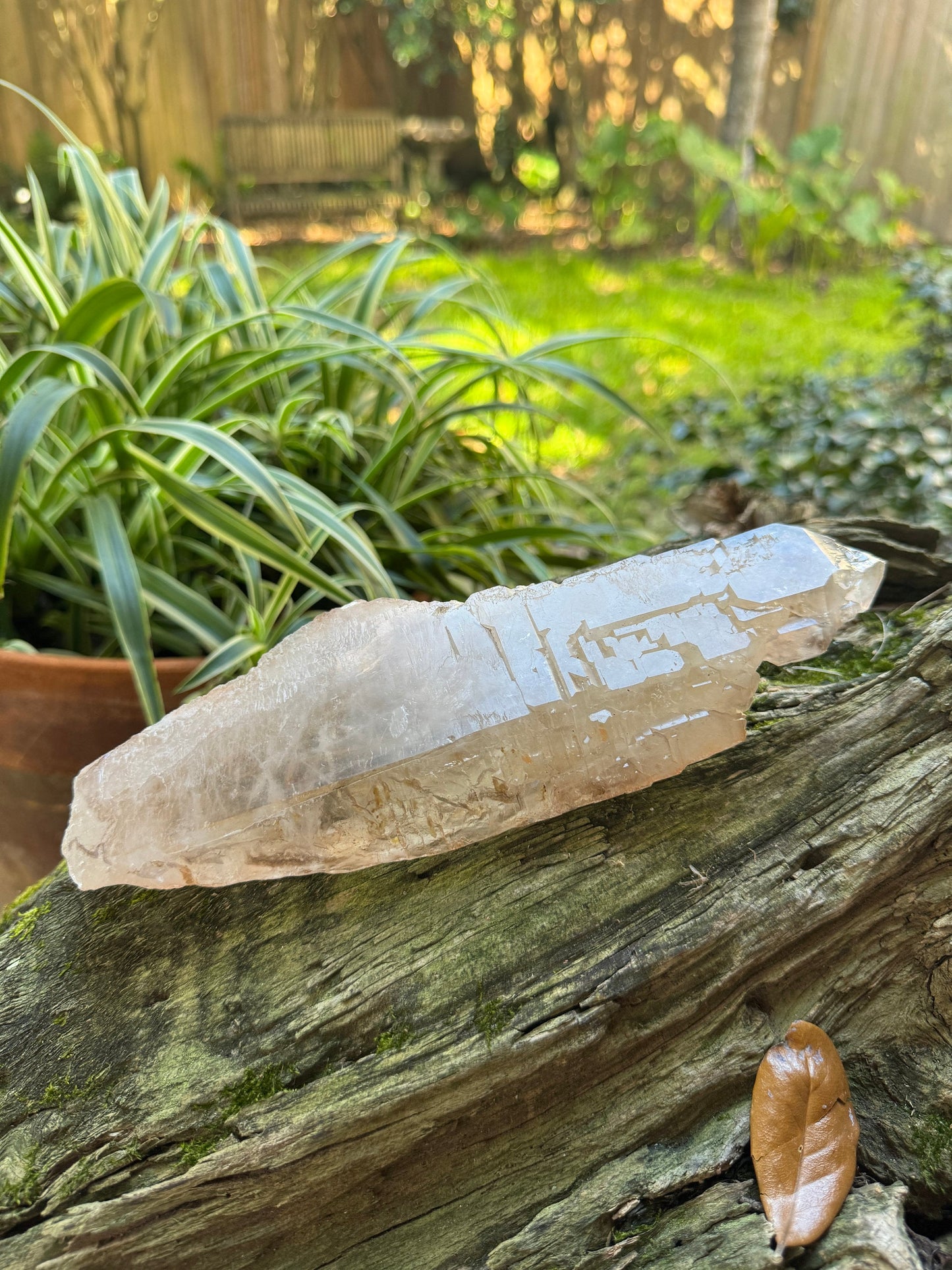 Pale Citrine Elesital Quartz Specimen from Minas Gerais Brazil, 642g 1lb 6.6oz Mineral Crystal