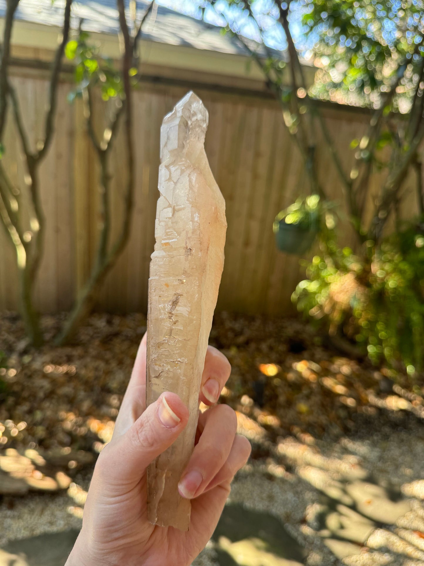 Pale Citrine Elesital Quartz Specimen from Minas Gerais Brazil, 642g 1lb 6.6oz Mineral Crystal