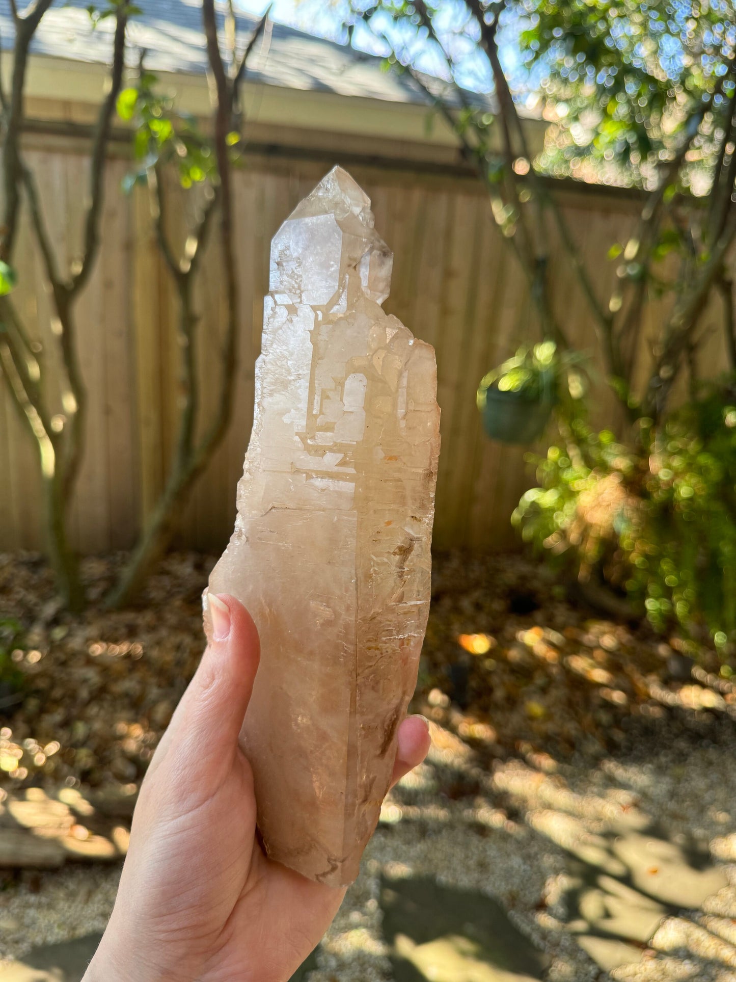 Pale Citrine Elesital Quartz Specimen from Minas Gerais Brazil, 642g 1lb 6.6oz Mineral Crystal