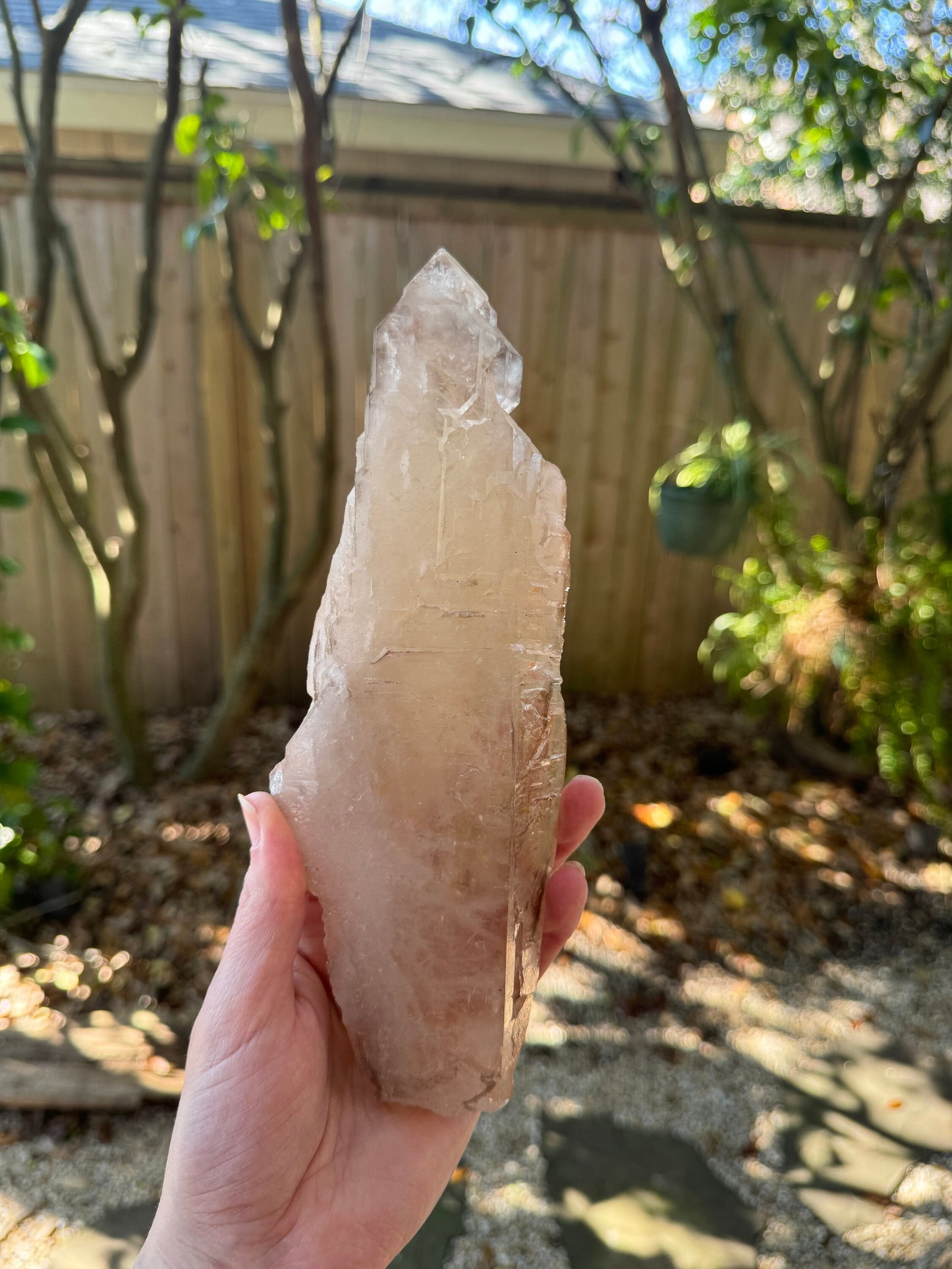 Pale Citrine Elesital Quartz Specimen from Minas Gerais Brazil, 642g 1lb 6.6oz Mineral Crystal