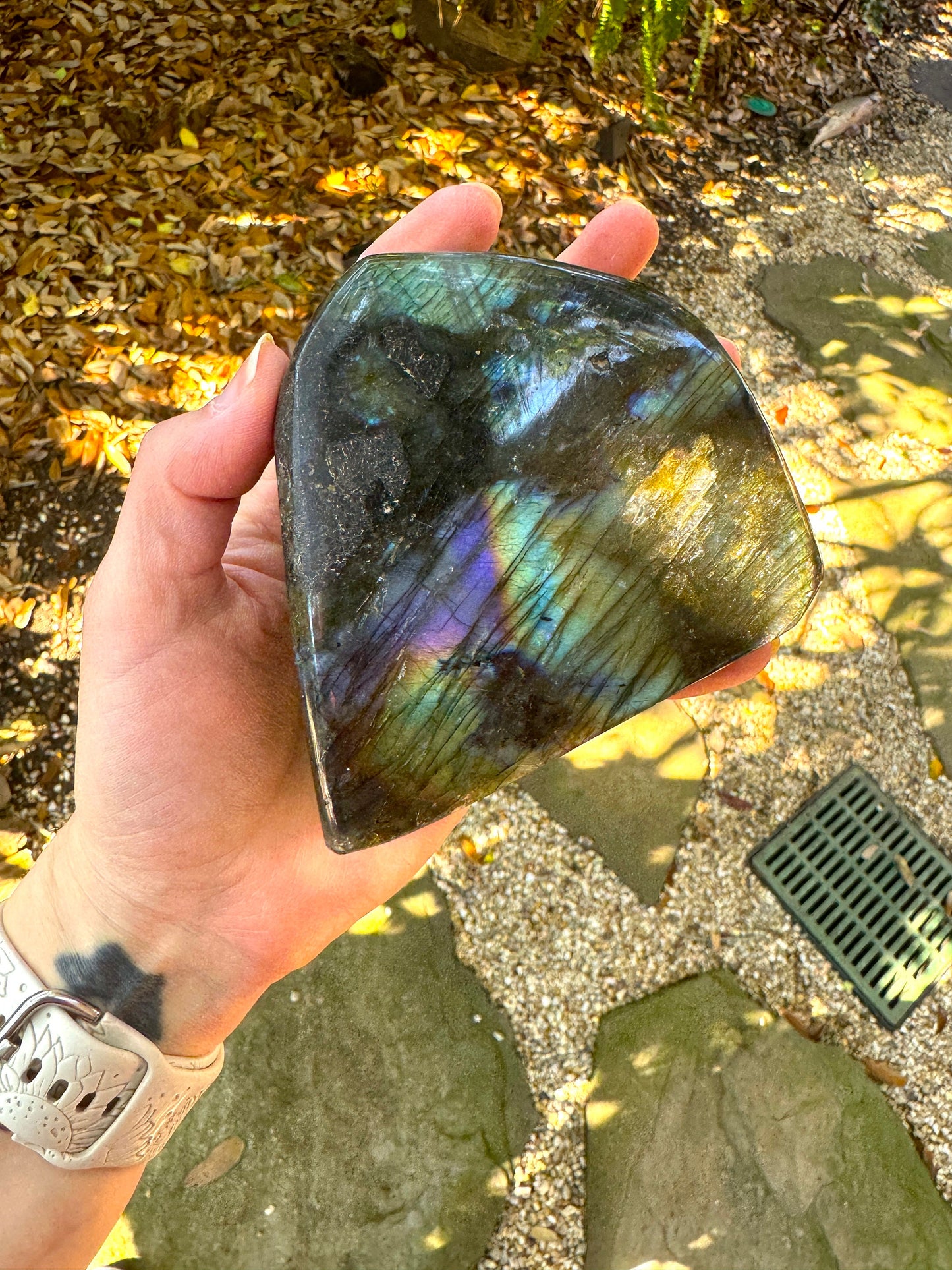 Polished Rainbow Labradorite Free Form 702g 1lb 6.8oz From Madagascar Mineral Crystal