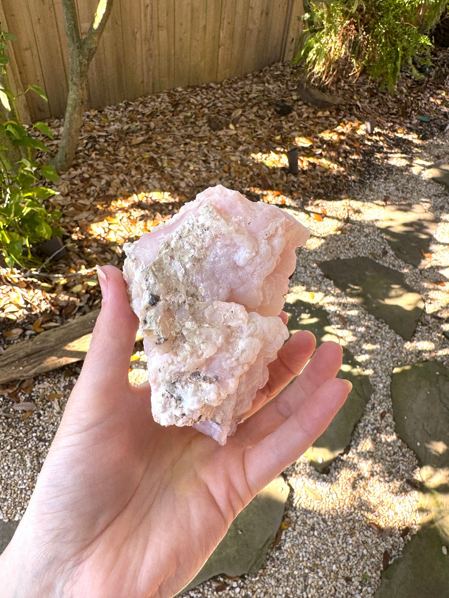 Rare Beautiful Botryoidal Natural Pink Opal from Ica, Peru Specimen 476g Mineral Crystal