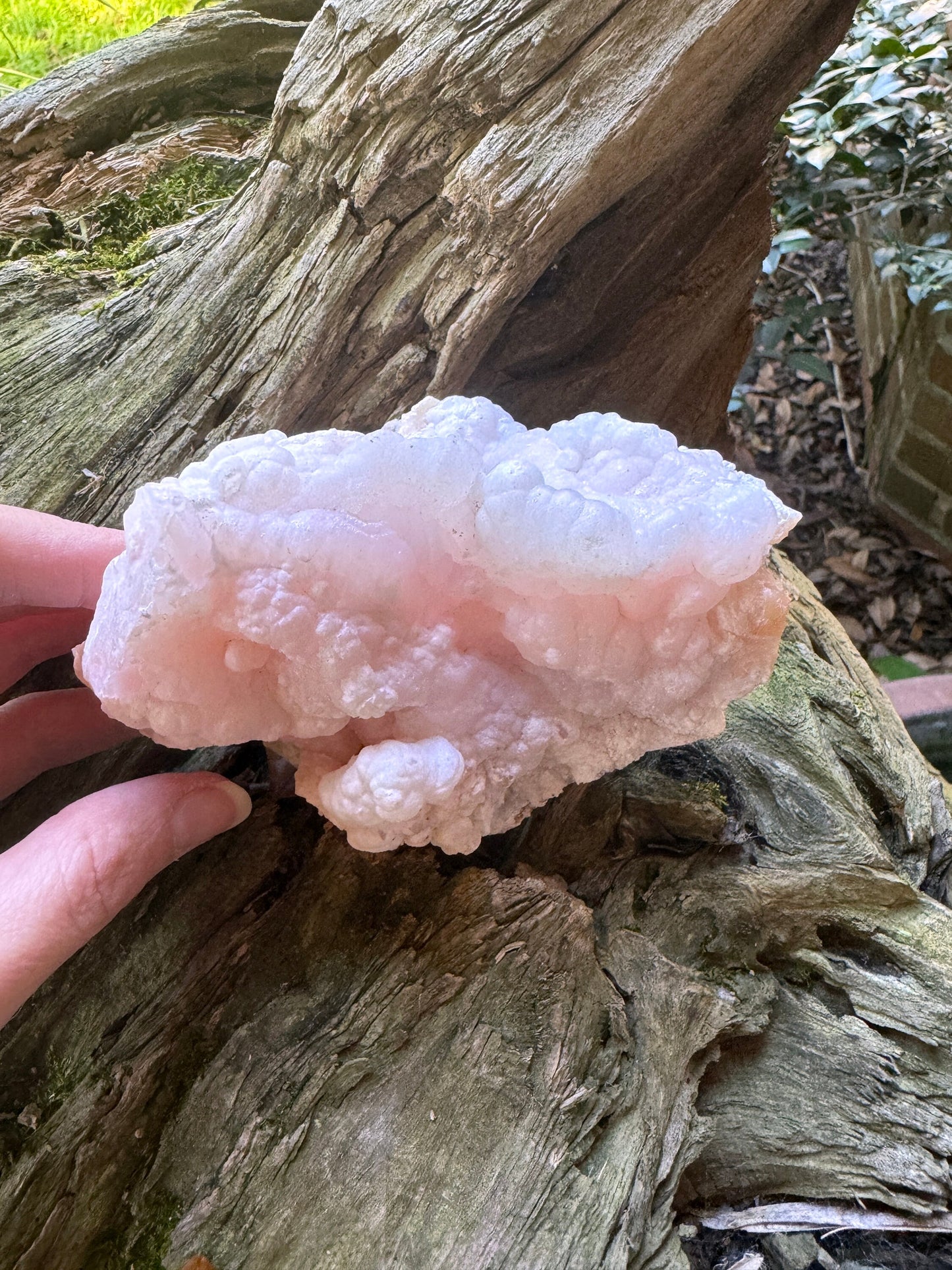 Rare Beautiful Botryoidal Natural Pink Opal from Ica, Peru Specimen 476g Mineral Crystal