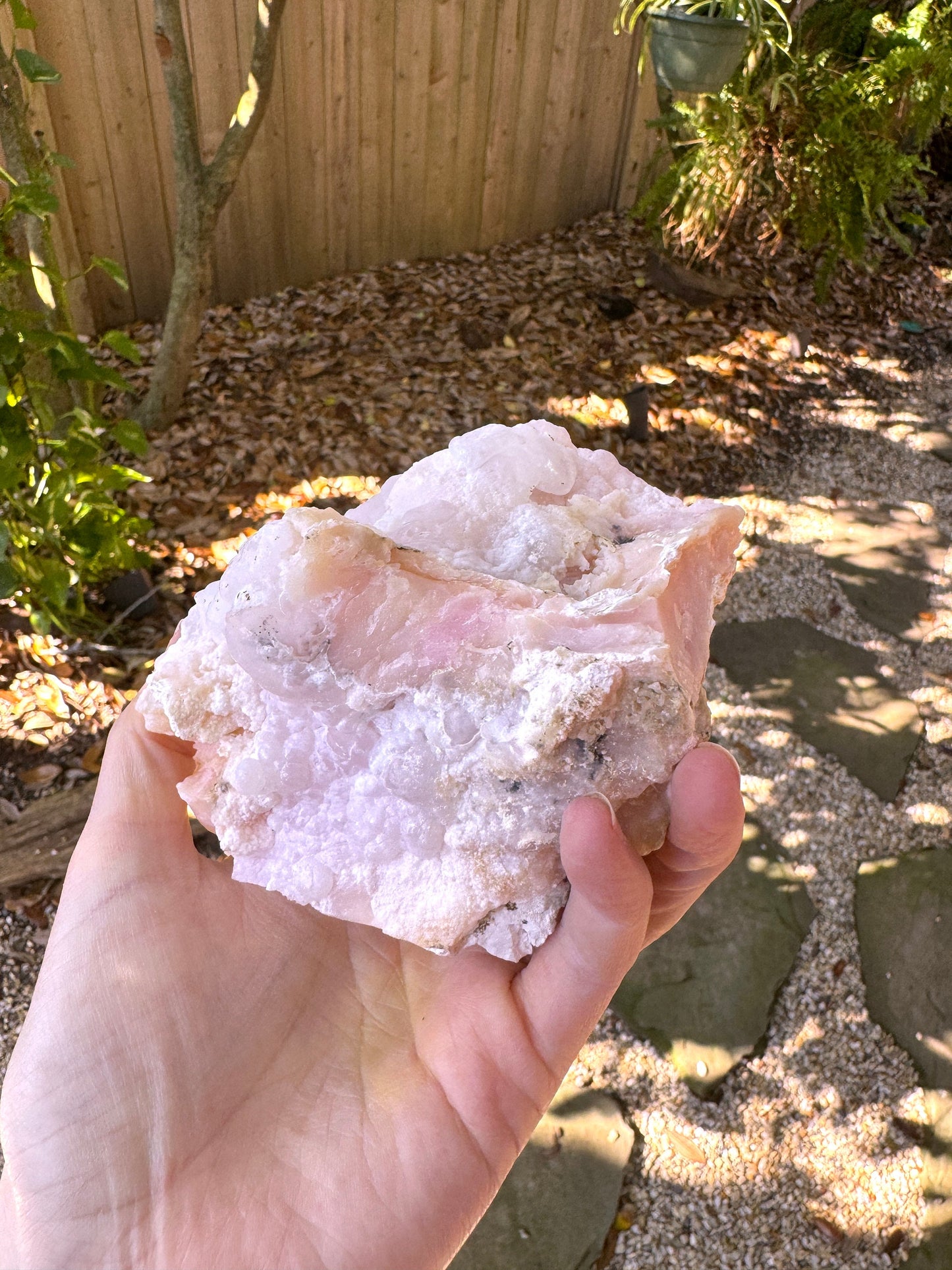 Rare Beautiful Botryoidal Natural Pink Opal from Ica, Peru Specimen 476g Mineral Crystal