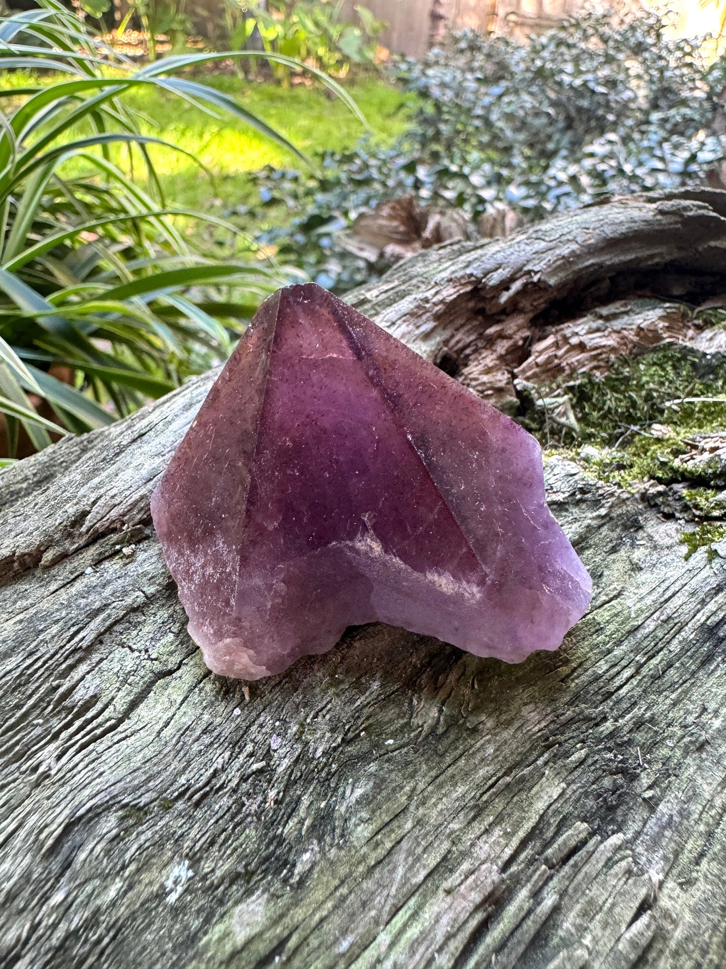 Half Polished Hematite Capped Amethyst Melody Stone 102.6g from Minas Gerais, Brazil