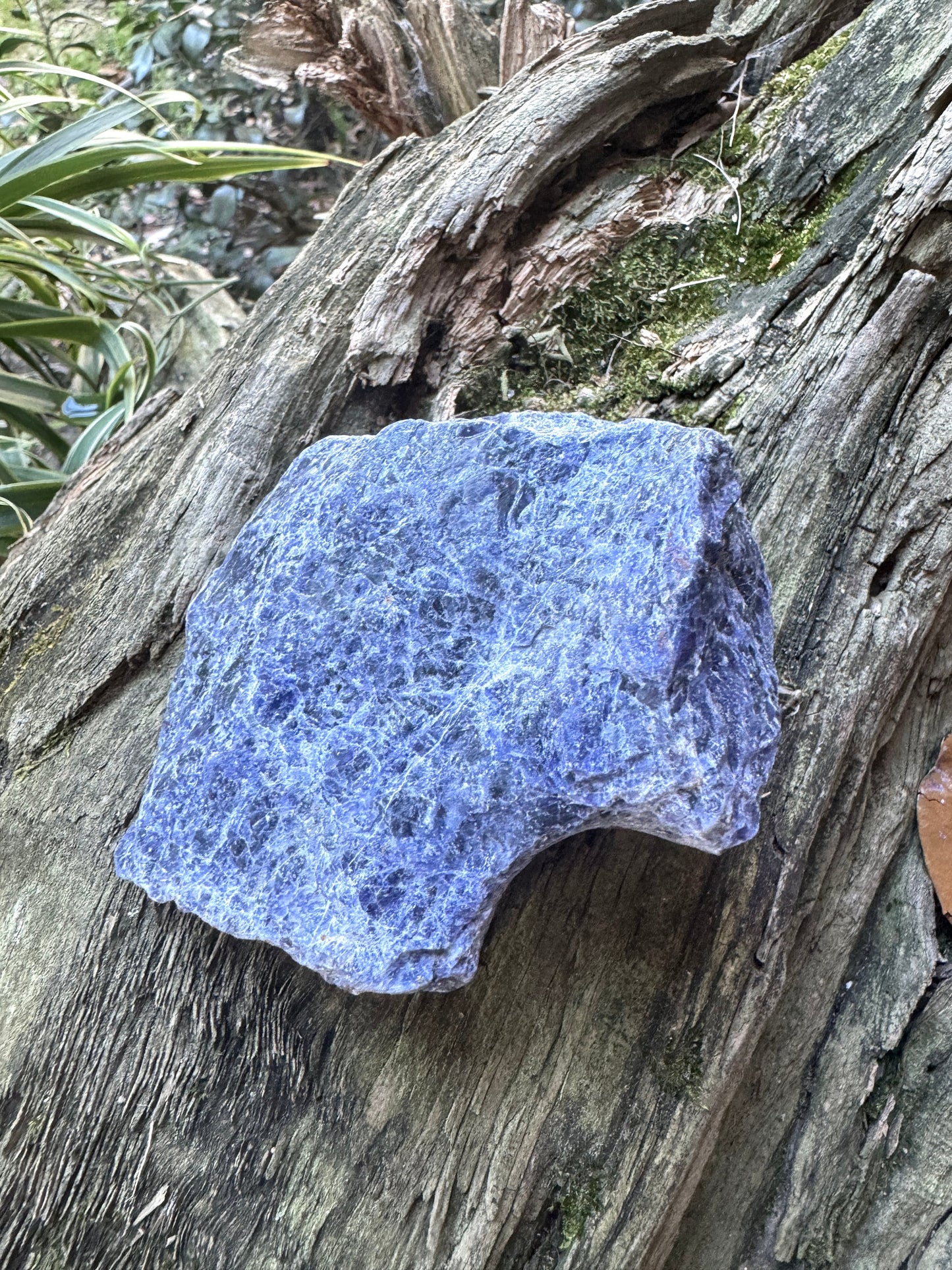 Blue Sodalite Raw Natural Crystal Specimen 310g Specimen from Brazil