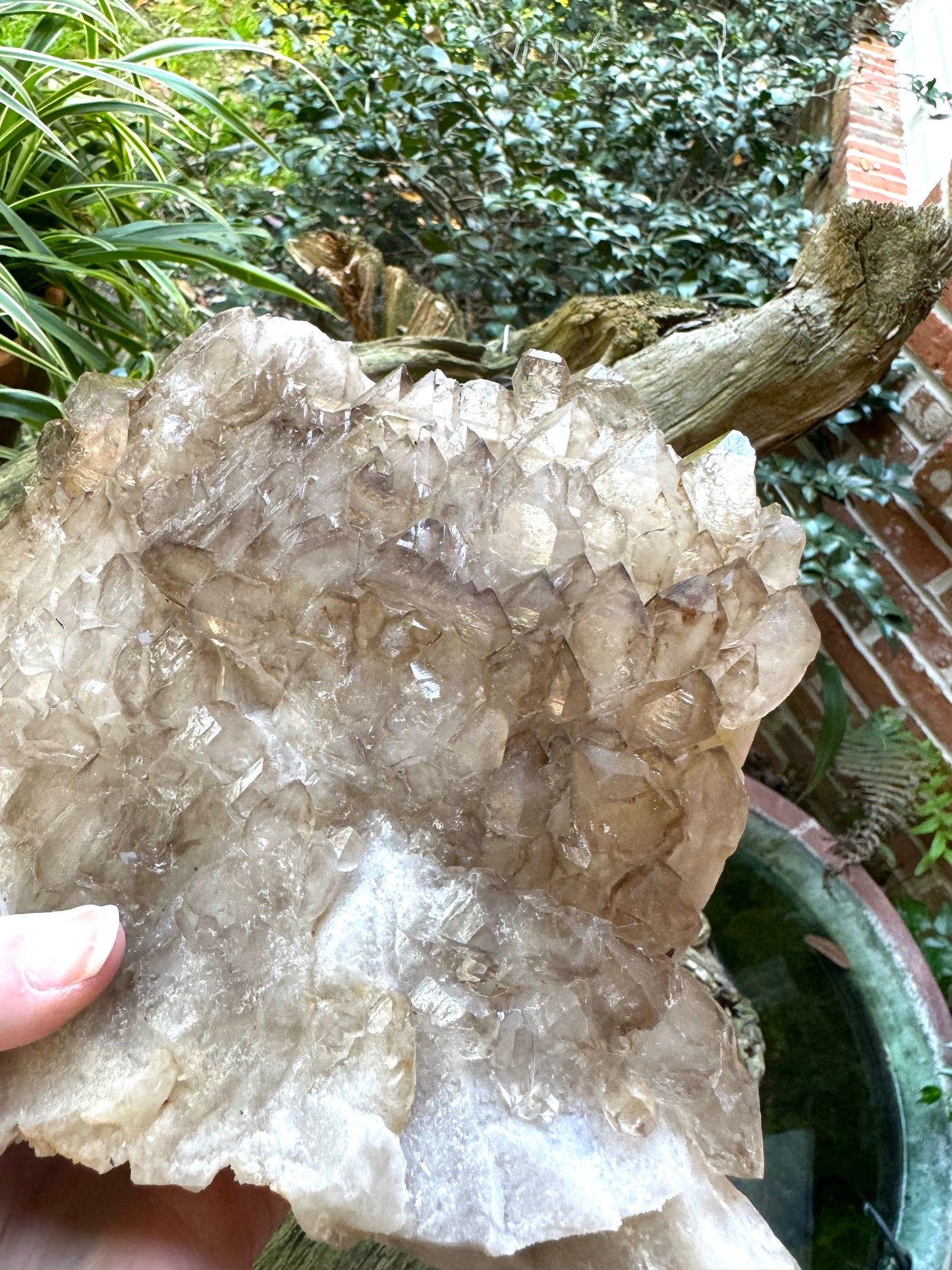 Elesital Smokey Quartz Specimen from Brazil, 2340g 5lbs 2.6oz Mineral Crystal