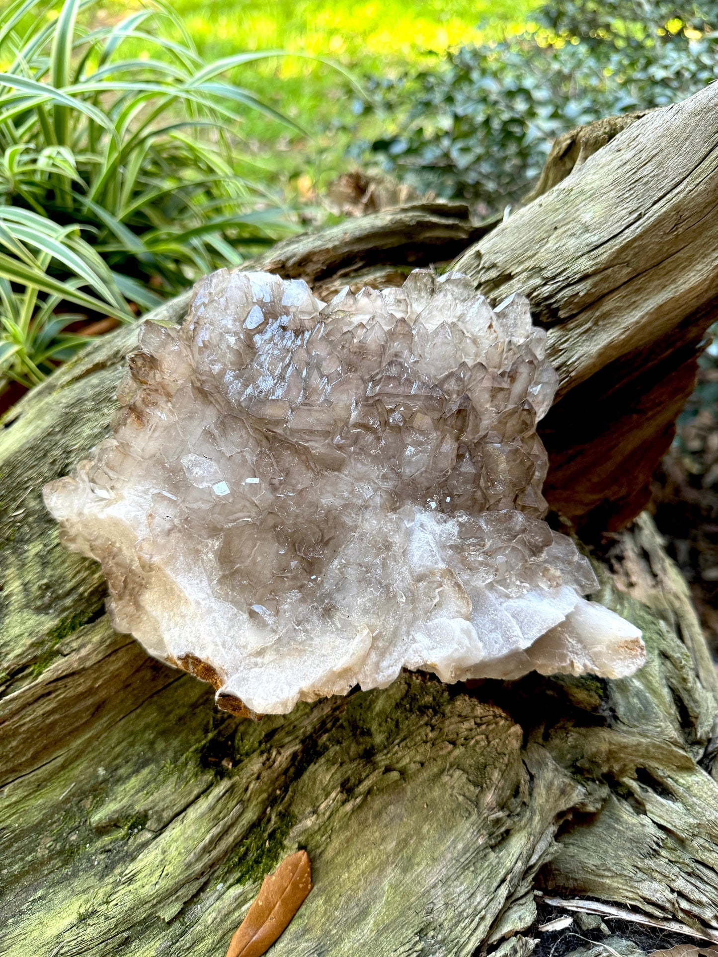 Elesital Smokey Quartz Specimen from Brazil, 2340g 5lbs 2.6oz Mineral Crystal