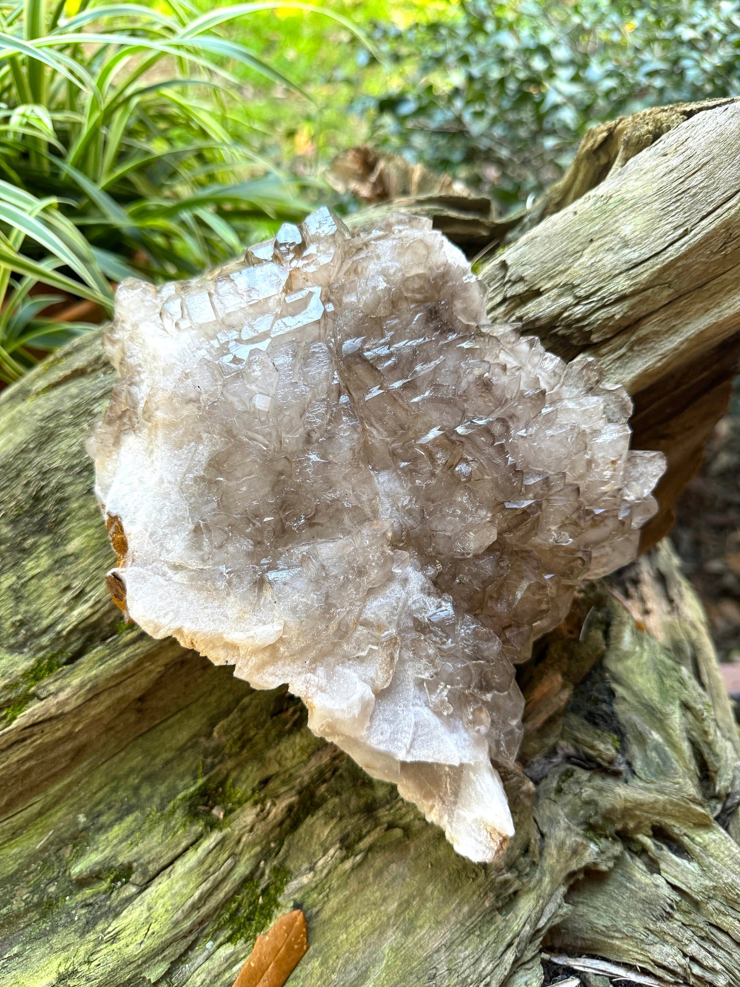 Elesital Smokey Quartz Specimen from Brazil, 2340g 5lbs 2.6oz Mineral Crystal