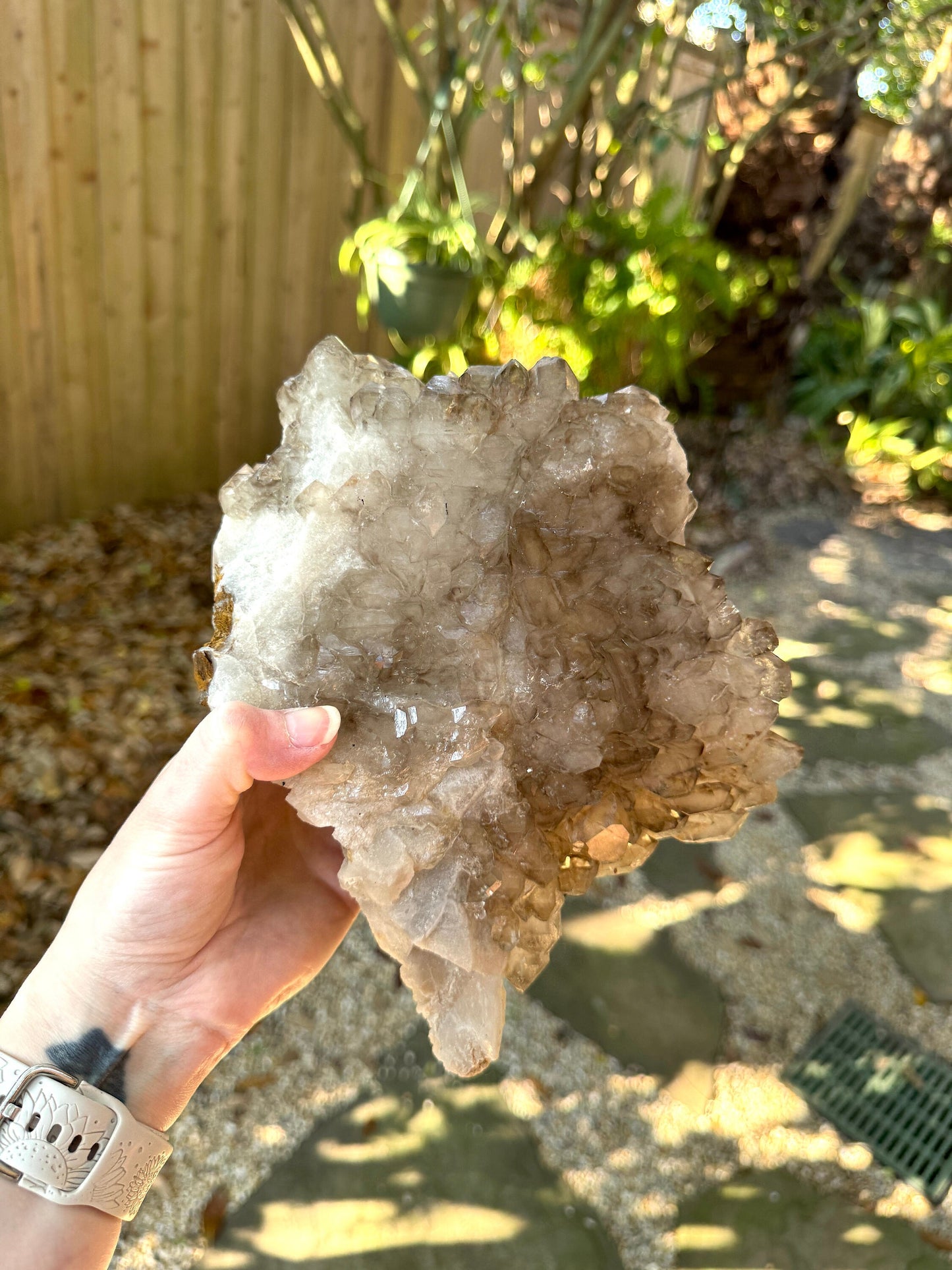 Elesital Smokey Quartz Specimen from Brazil, 2340g 5lbs 2.6oz Mineral Crystal