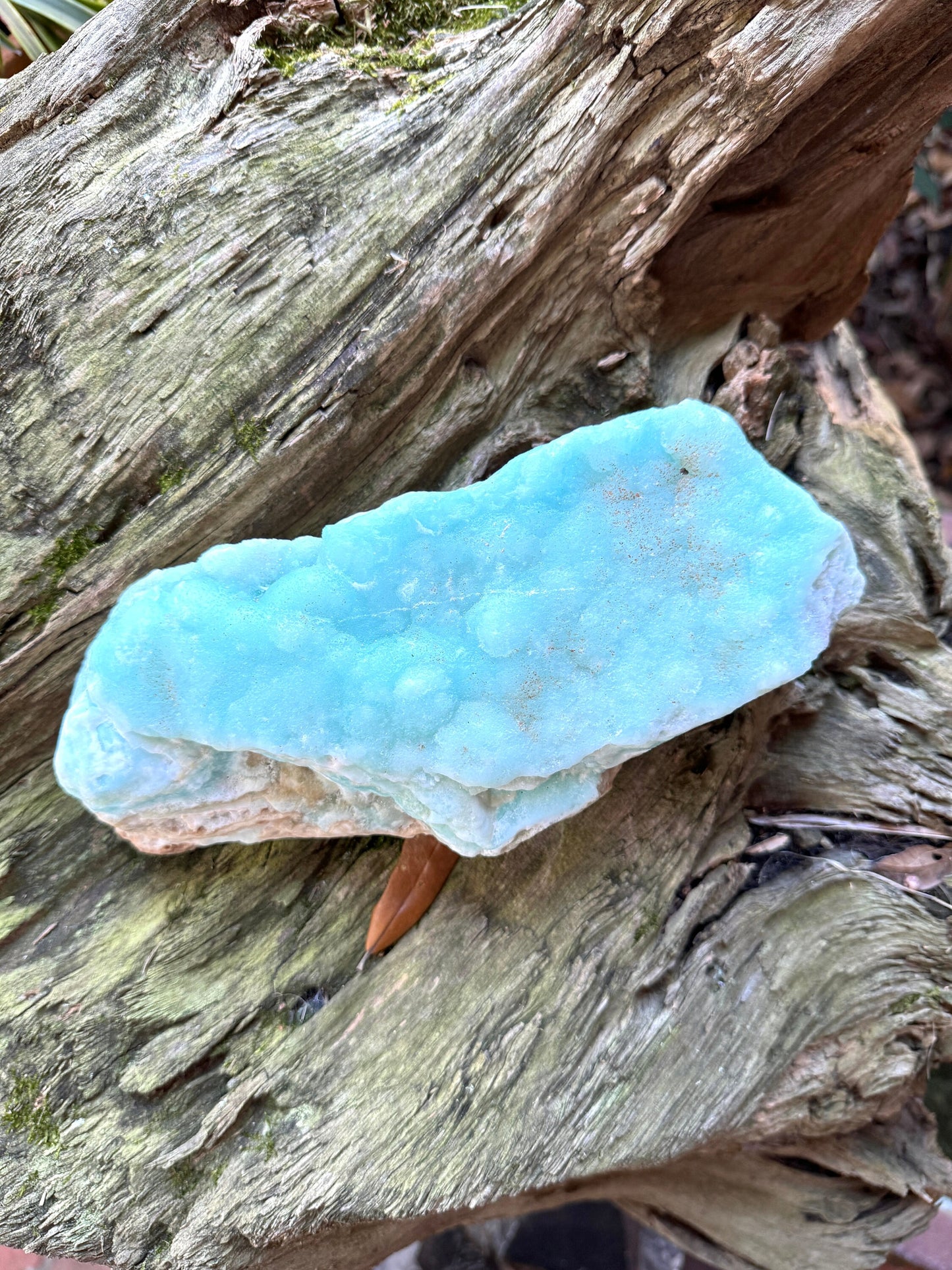 Raw Blue Caribbean Calcite from Pakistan 1520g 3lbs 5.6oz Specimen Mineral Crystal