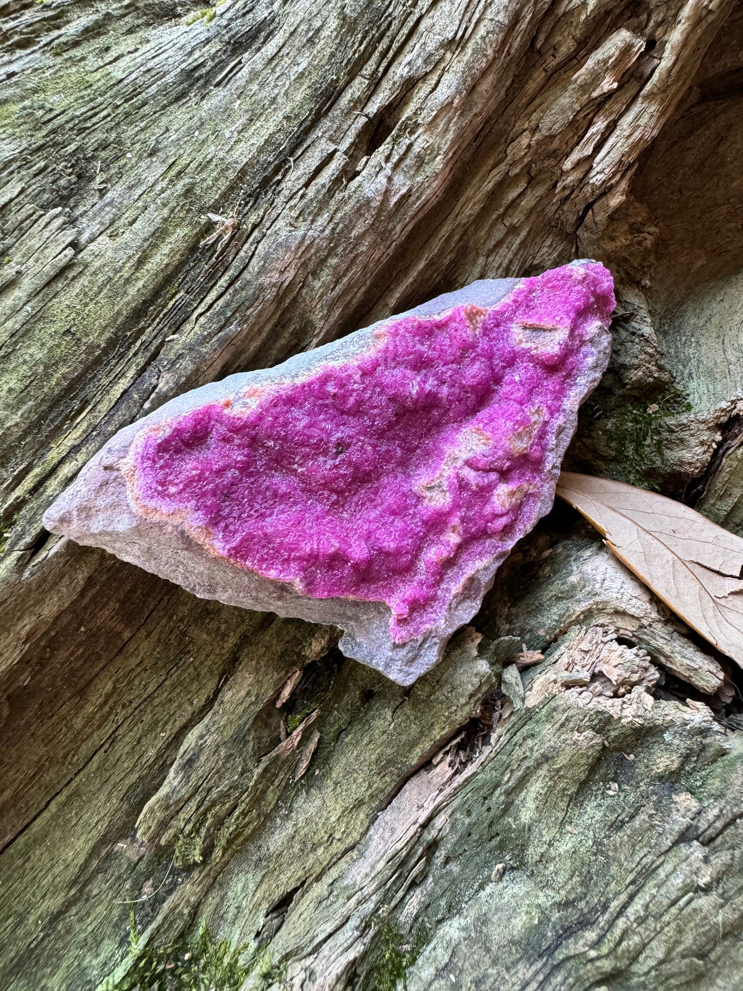 Vibrant Cobalt and Calcite From Zaire, 88.2g Specimen Mineral Crystal